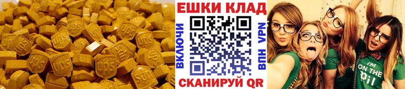 Ecstasy Philipp Plein  MEGA tor  Лобня 