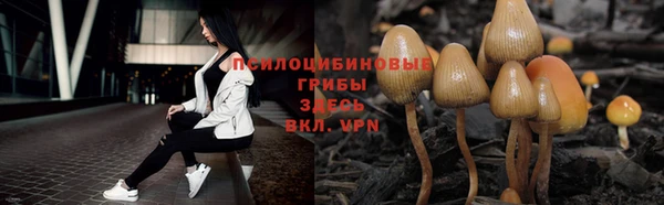 мдпв Пересвет