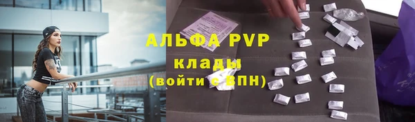 стаф Аркадак
