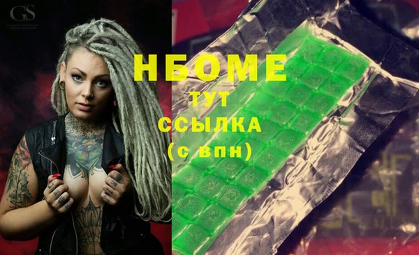 стаф Аркадак