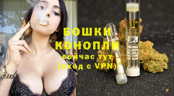 стаф Аркадак