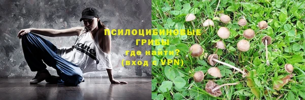 таблы Армянск