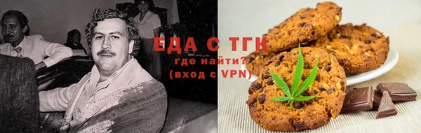 стаф Аркадак