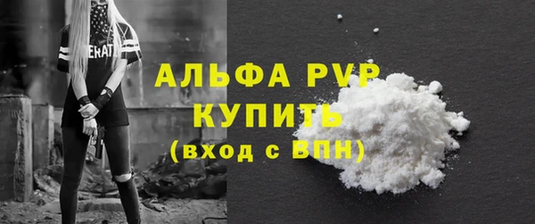 стаф Аркадак