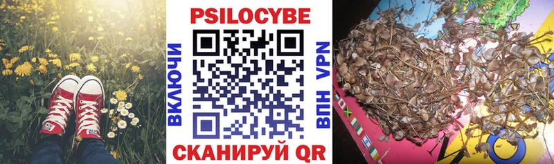 что такое наркотик  Лобня  Псилоцибиновые грибы Magic Shrooms 